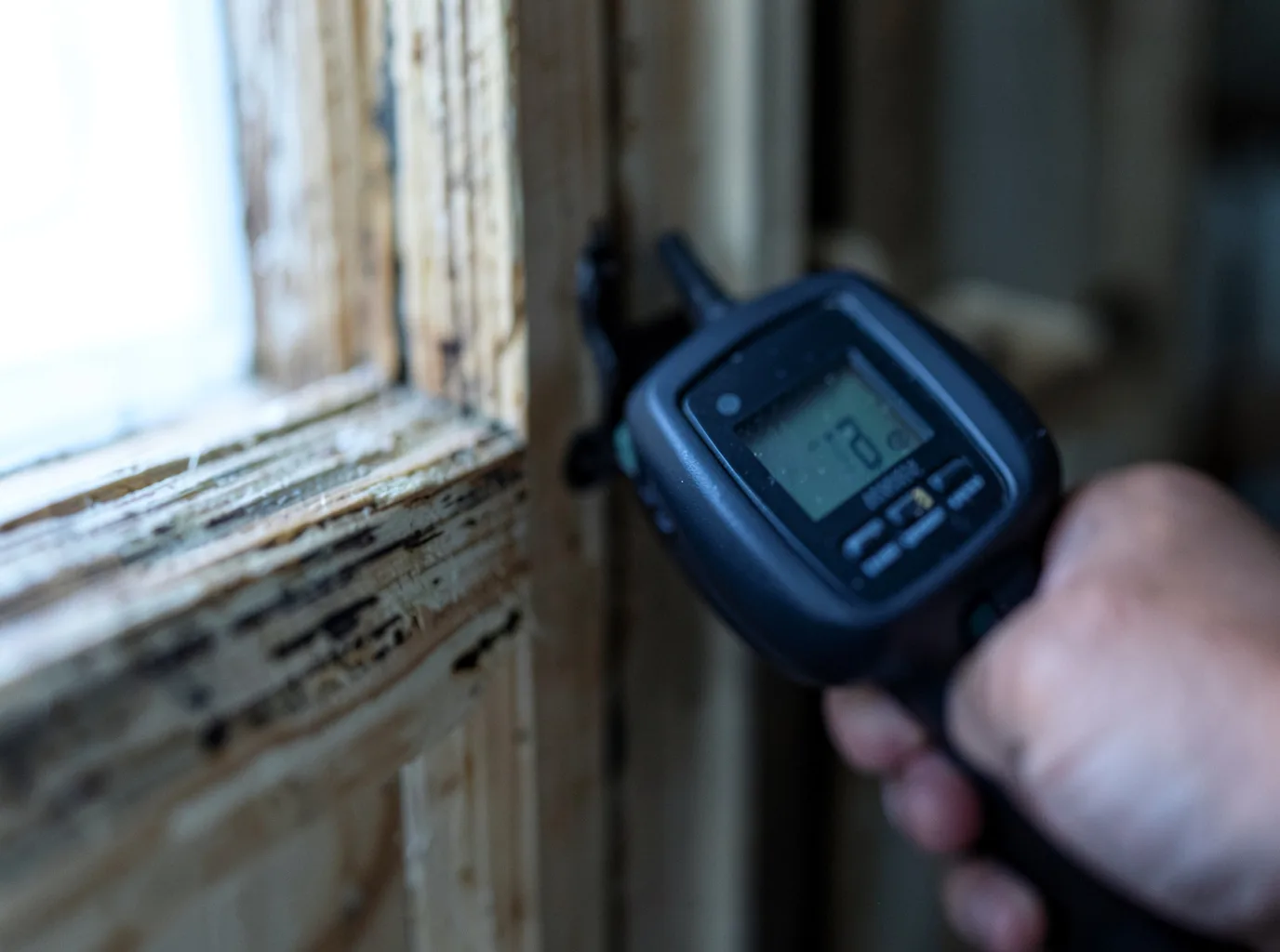 Moisture Inspection And Documentation in Lewisburg, PA
